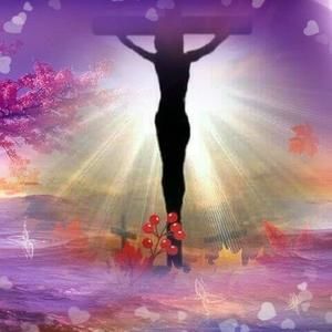 Meet your Posher, Deborah j